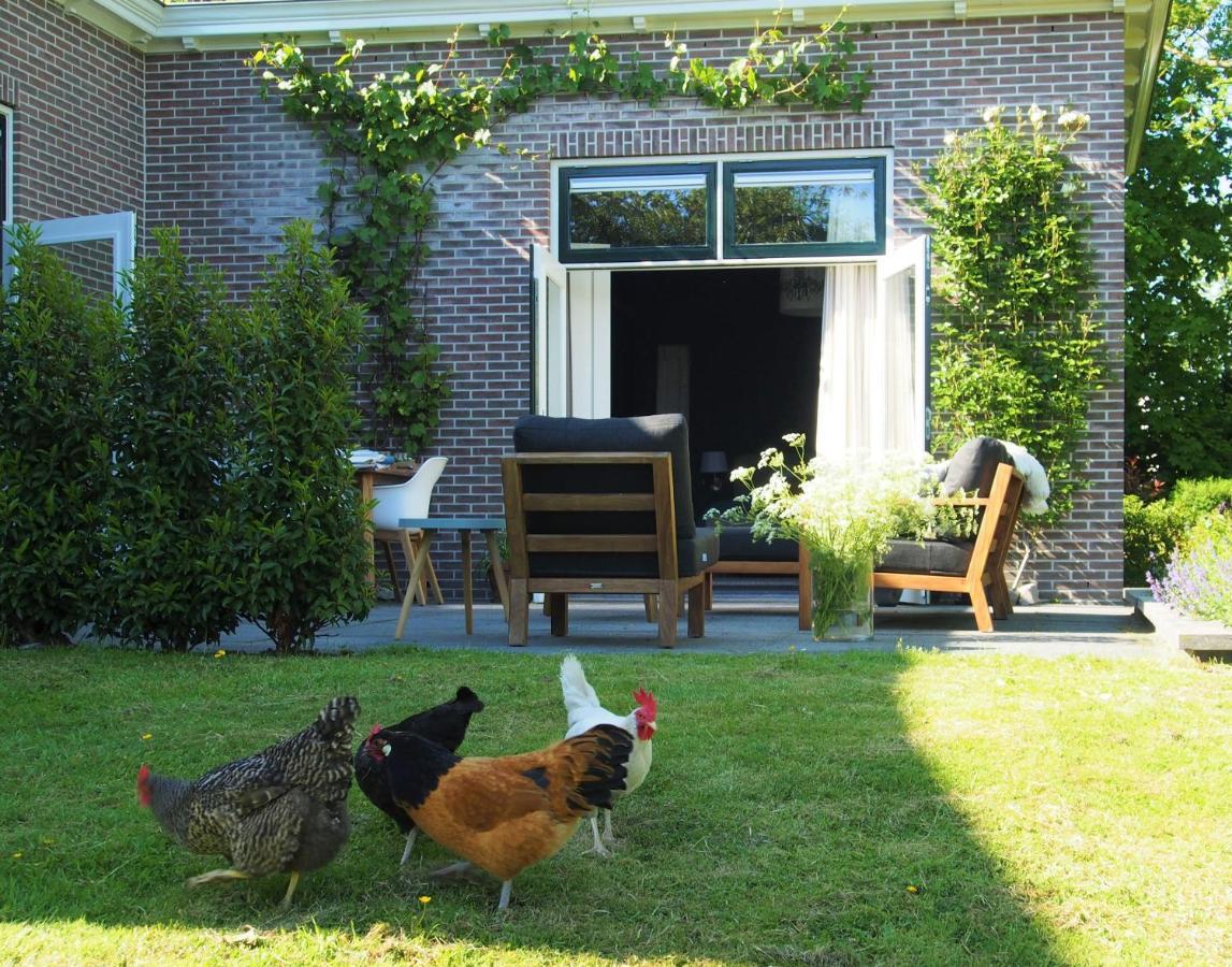 De Oude Dokterspraktijk Apartamento Zuidhorn Exterior foto